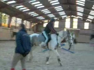 Moustache & moi en détente