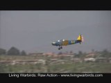 Fairchild PT-19A Cornell - Living Warbirds: Raw Action