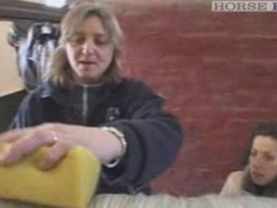 Plaiting a Mane with a Needle & Thread