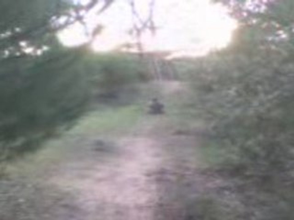 MOV00008