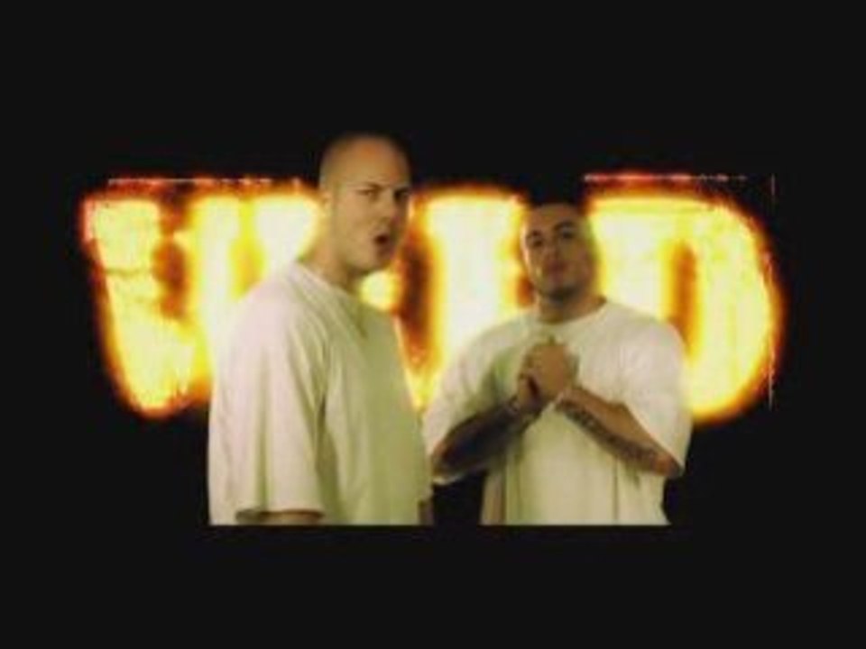 Mocy-Wild