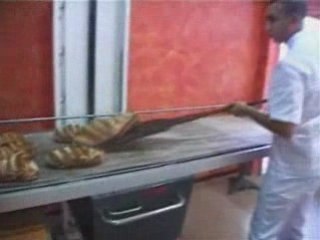 Cigales Gourmandes sortie novembre 2008_0001