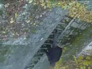 Les p'tits potes :D !