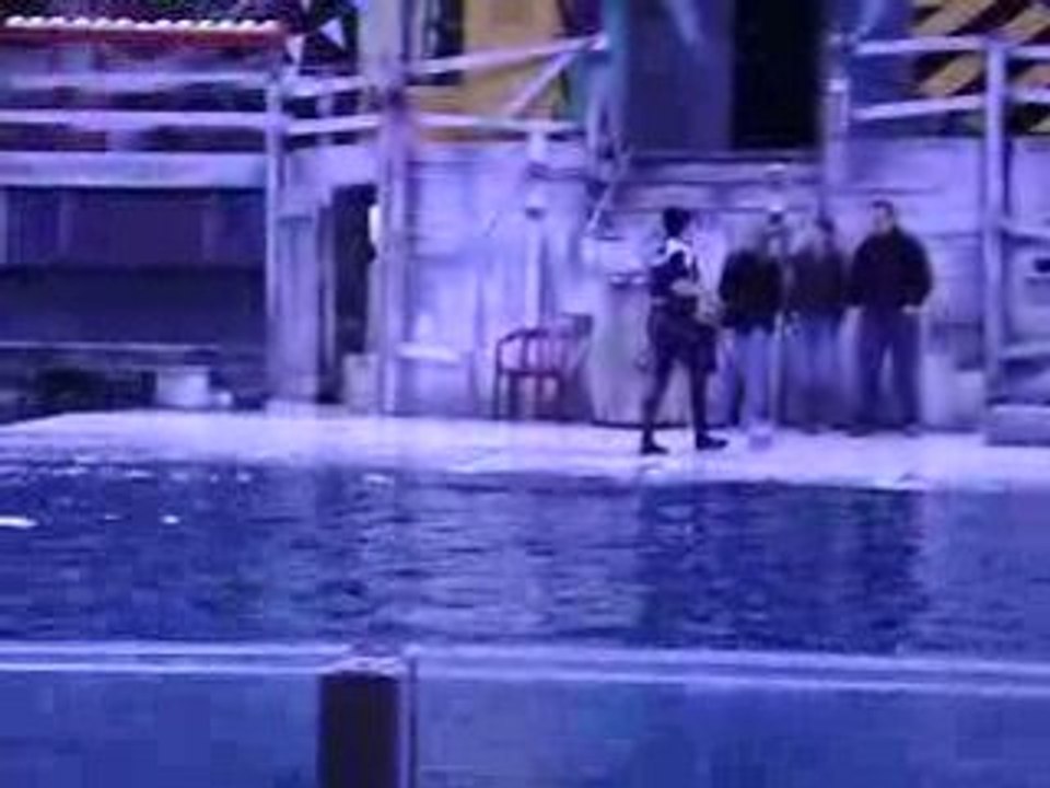 Journée Dauphins suite...