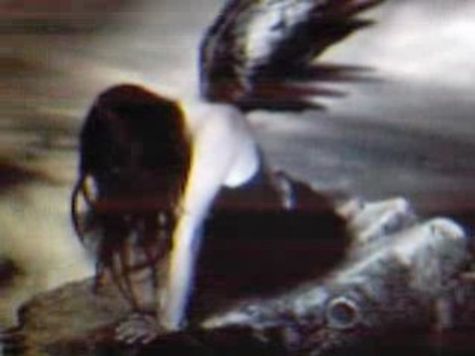 JOLI FIN DE L'HISTOIRE...!