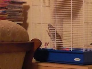 Ma Rate est vraiment trop forte !