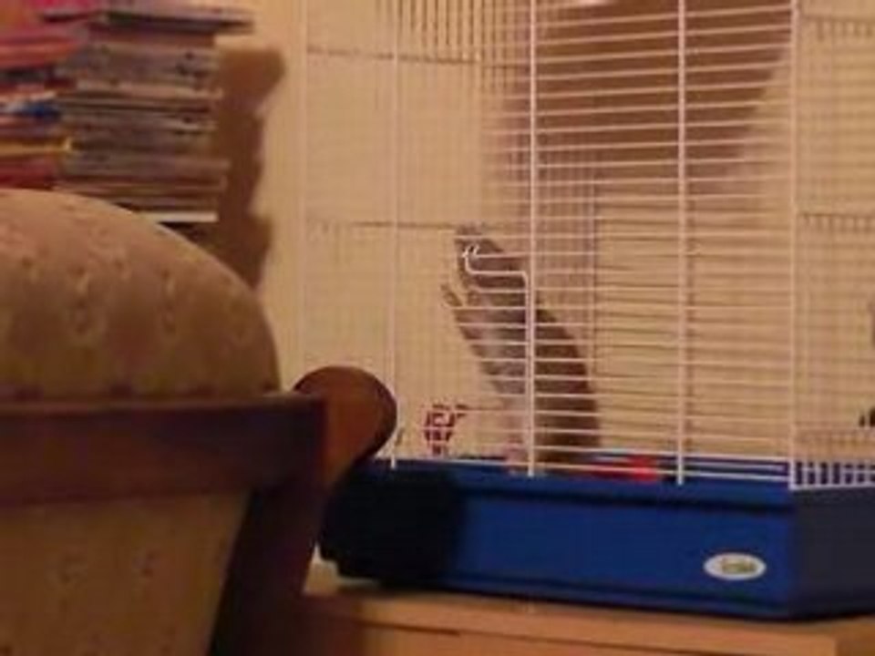 Ma Rate est vraiment trop forte !