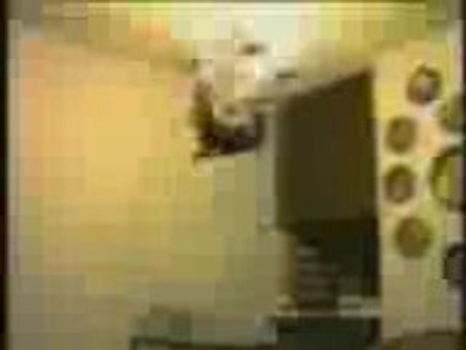 Video Rire Drole Chat