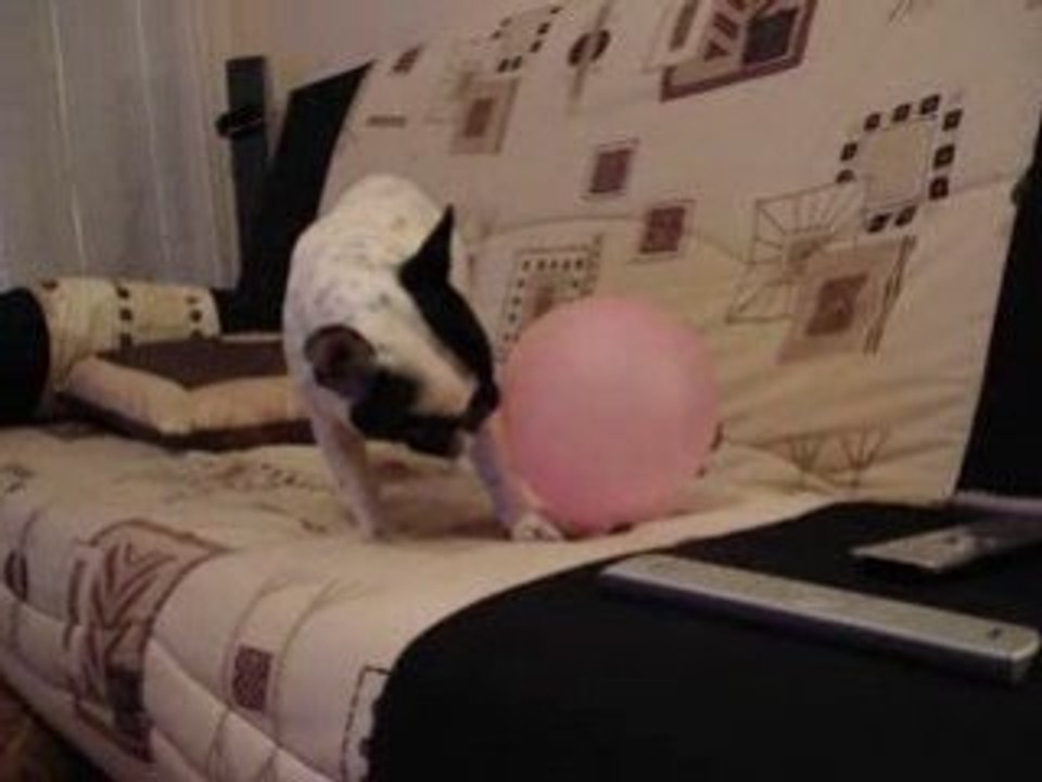 clash bouledogue ballon