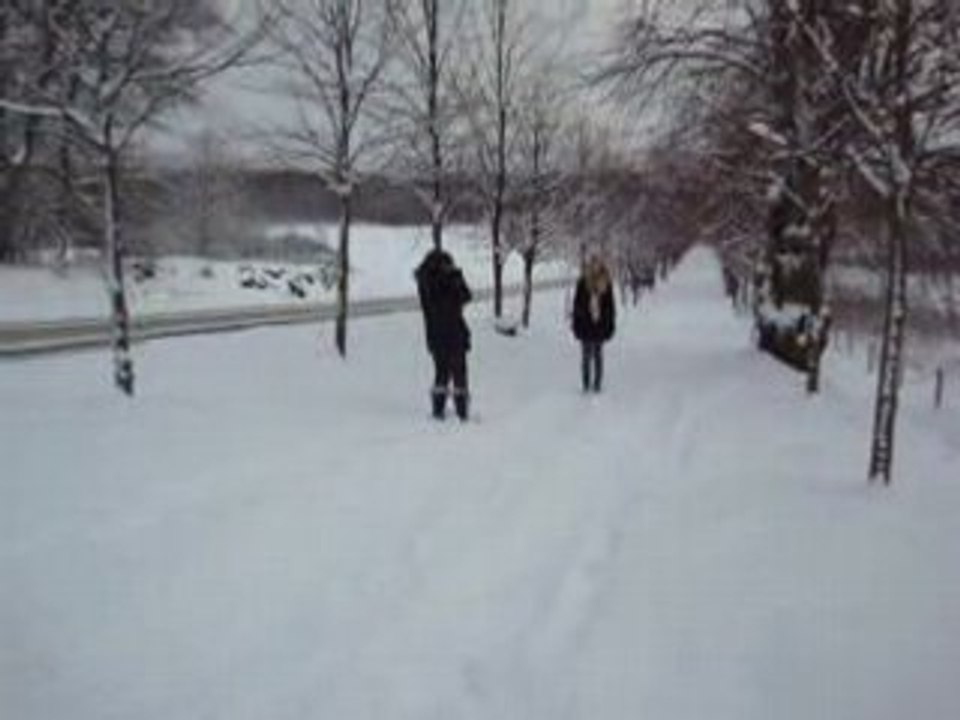 Bhtssony23nov 011