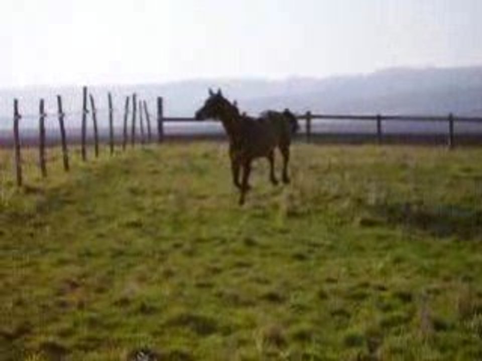 IMGP1453