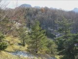 Balade au Col de Tourniol   (26 Vercors nord)