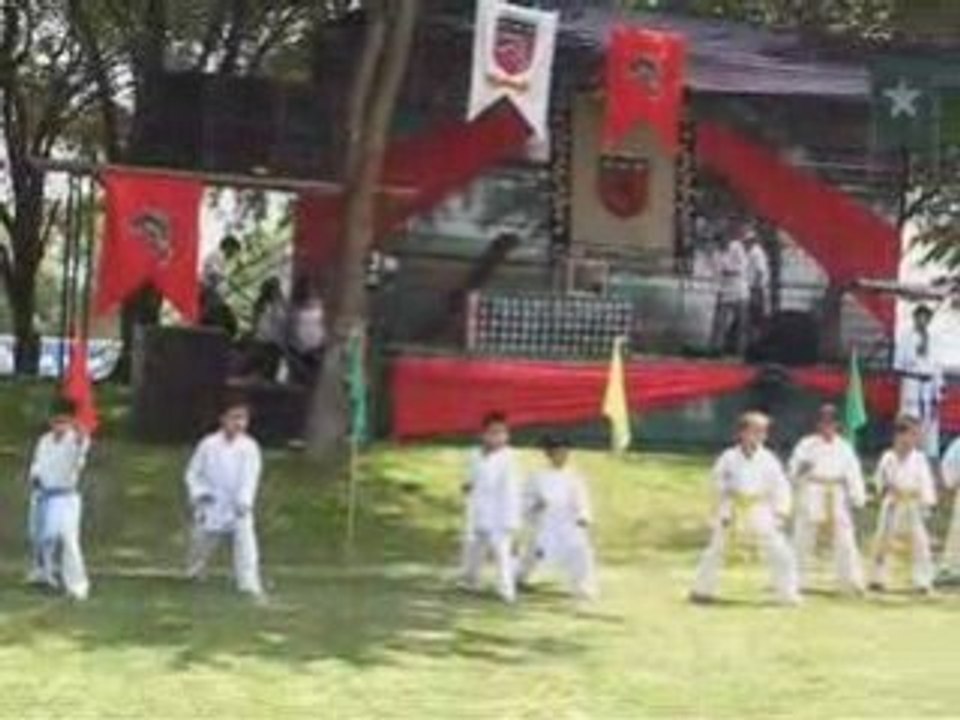 Tenis y karate