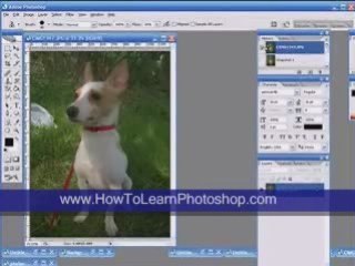 How to learn Photoshop (Removing Unwanted Elements)