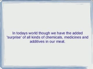 Is Raw Dog Food The Best Dog Food For Your Dog?