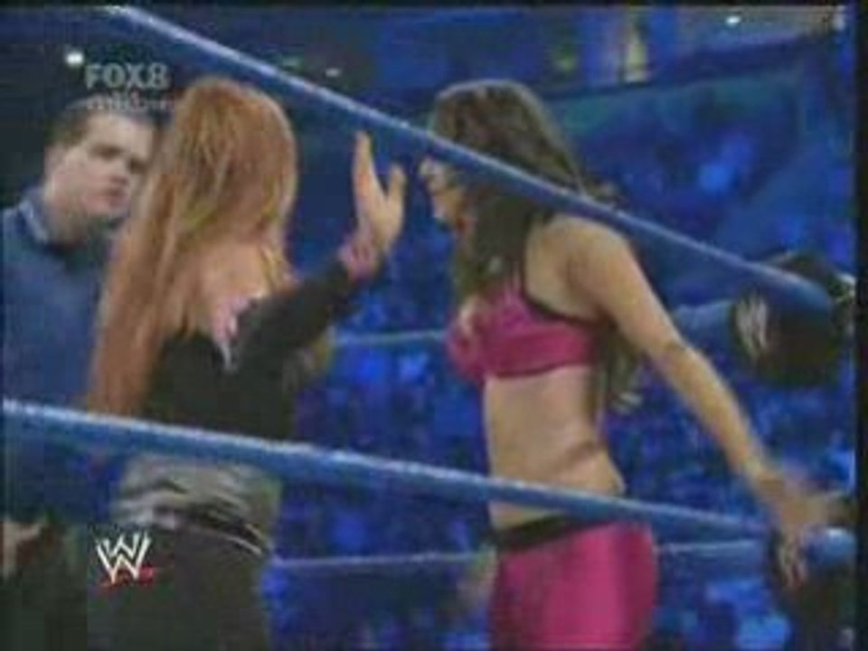 SD 21.11 - Bella Twins vs Natalya Victoria