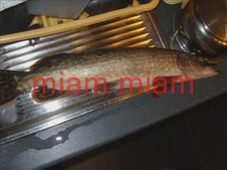 Les premiers brochets de l'année!!!!