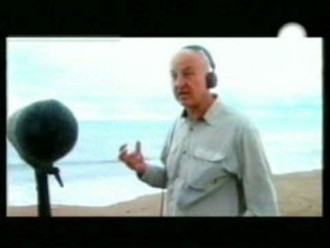 Conciencia sonora (Sonidos vs. ruidos)