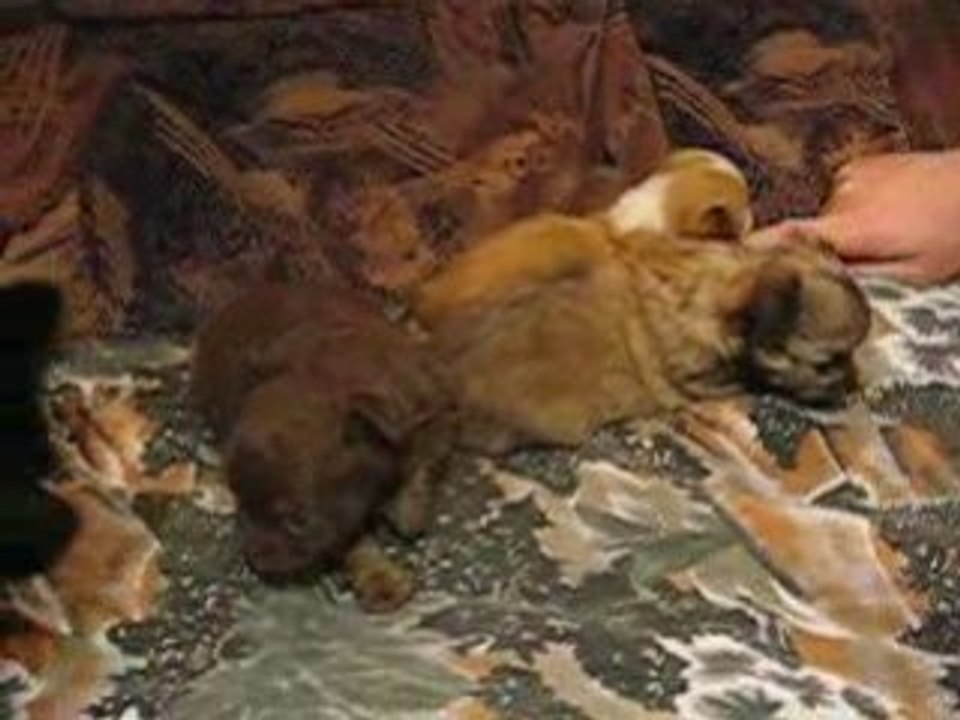 Joile bebe et Marie 025