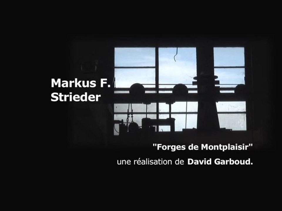 Markus F. STRIEDER