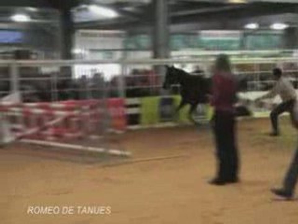 ROMEO DE TANUES