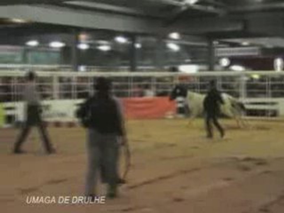 UMAGA DE DRULHE