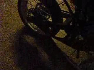 Pvl test , top rose , 24 OKO