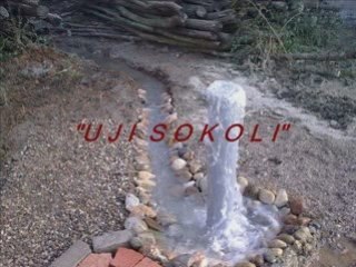 Uji sokoli
