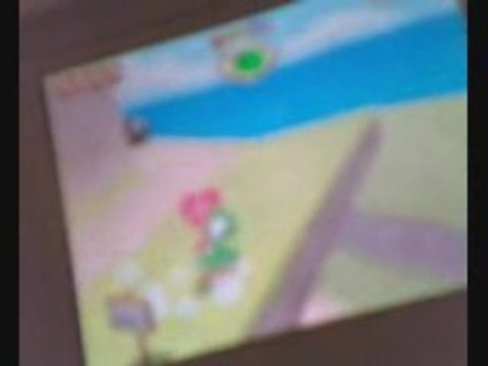 Super mario 64 ds - Quelques bugs