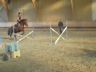 lupin sur un saut de puce