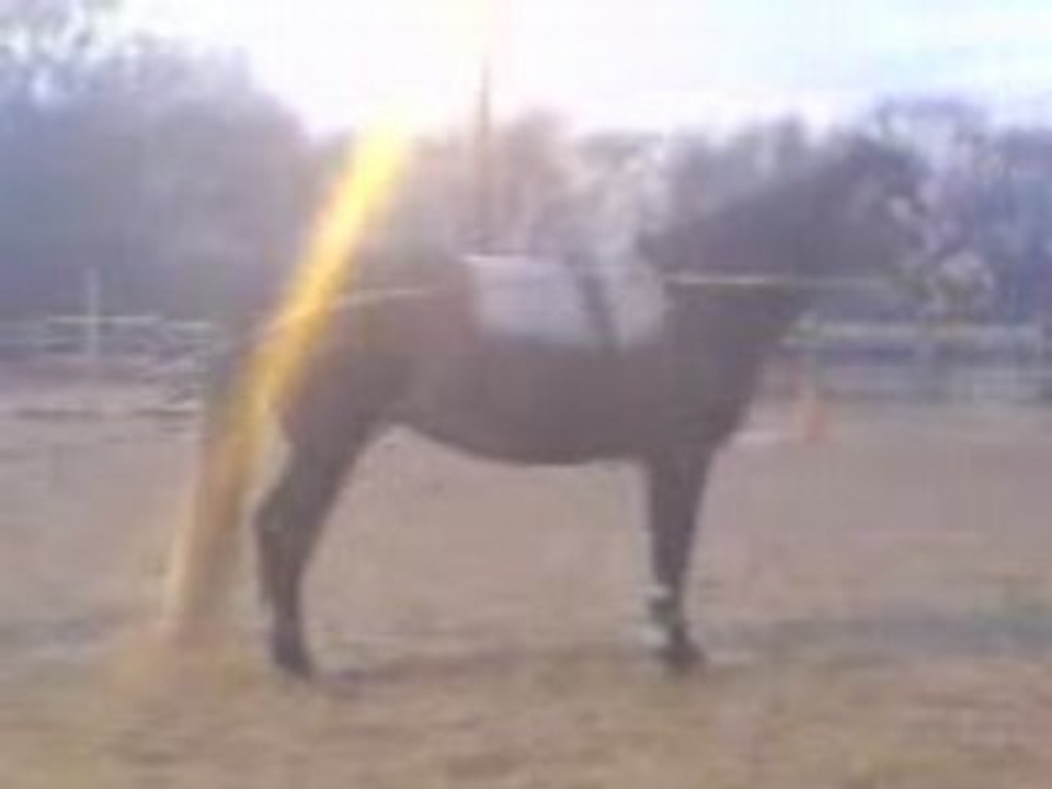 MOV00020