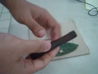 Daun untuk Ekstraksi 🌿