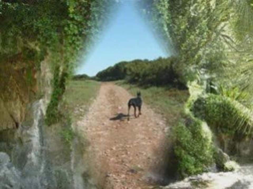 Pour notre LN