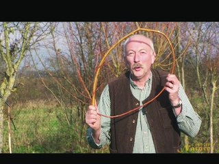 Une couronne de noel pour 0 € !