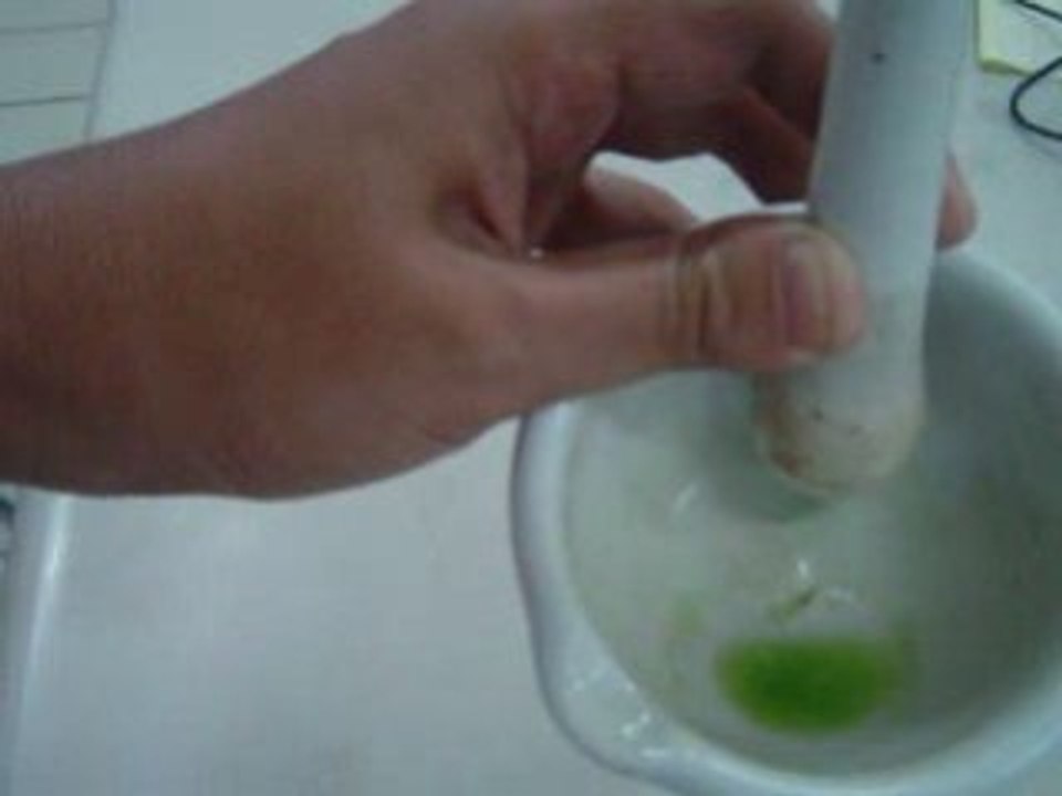 Penggerusan daun 2