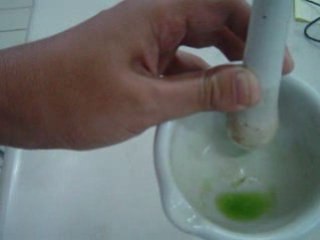 Penggerusan Daun 2 🌿