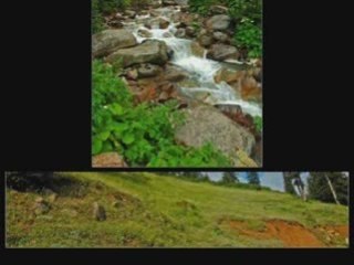 ÇAMLIHEMŞİN--avesor-fatidon sanbirol topaloğlu-KAVRUN.TR.GG