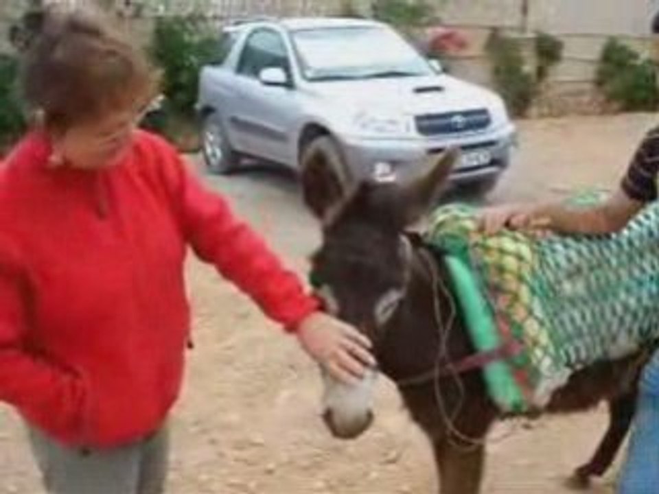 Ane maroc