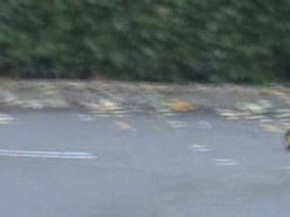 Tamiya Lunch Box à Genlis City 2