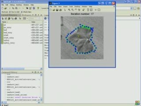 Demo of Active Contours Program: EE 8120, Ryerson University