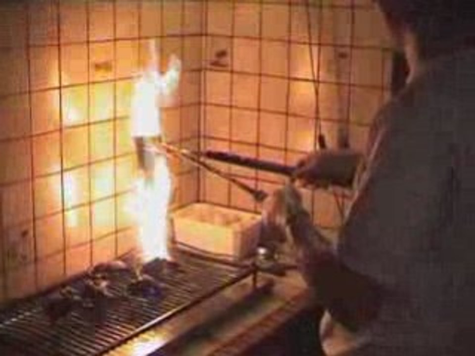 Palombe Saint Palais