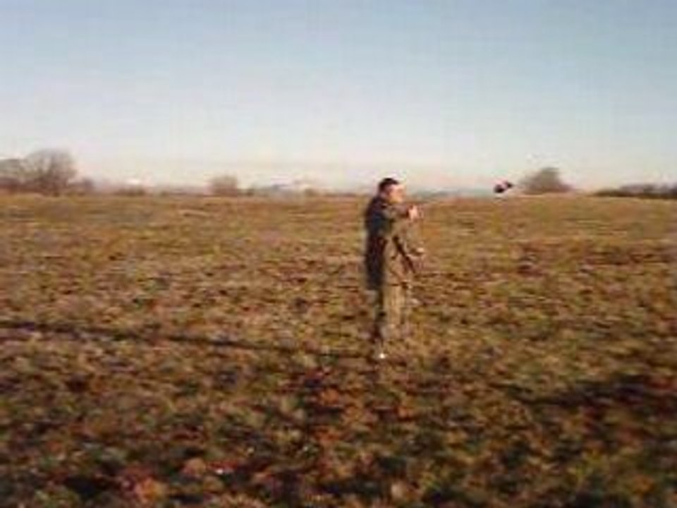 attaque d'un faucon sur leurre 3