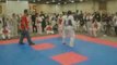 Coup De Pied Retourné Taekwondo