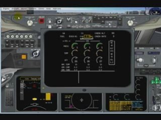 Pmdg Md11 Arabic tutorial (part 2) system startup