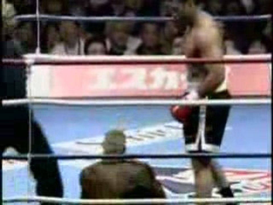 Ray Sefo Official K-1 Highlight