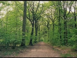 Έπεφτε βαθιά σιωπή - Γιάννης Πουλόπουλος
