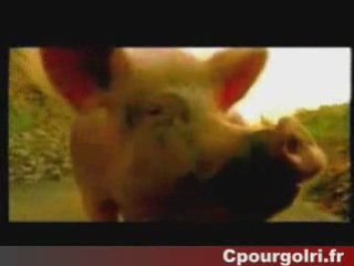 Publicité Téva - Cochon, salope