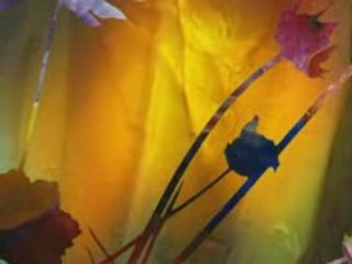 Stained Glass Garden