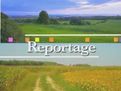 Journal agricole de la Vendée du 28 novembre 2008