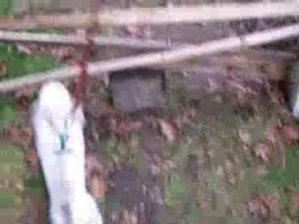 Lapin en saut : Mon ti lapinou Nougat